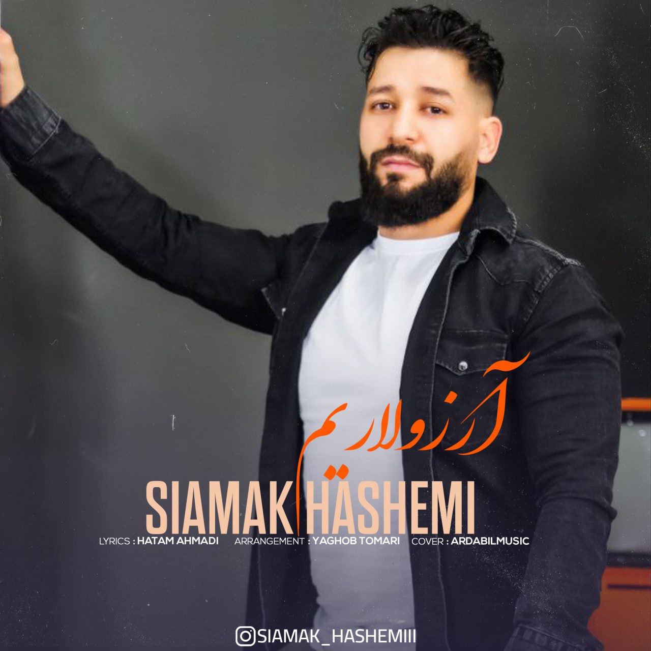 سیامک هاشمی - آرزولاریم